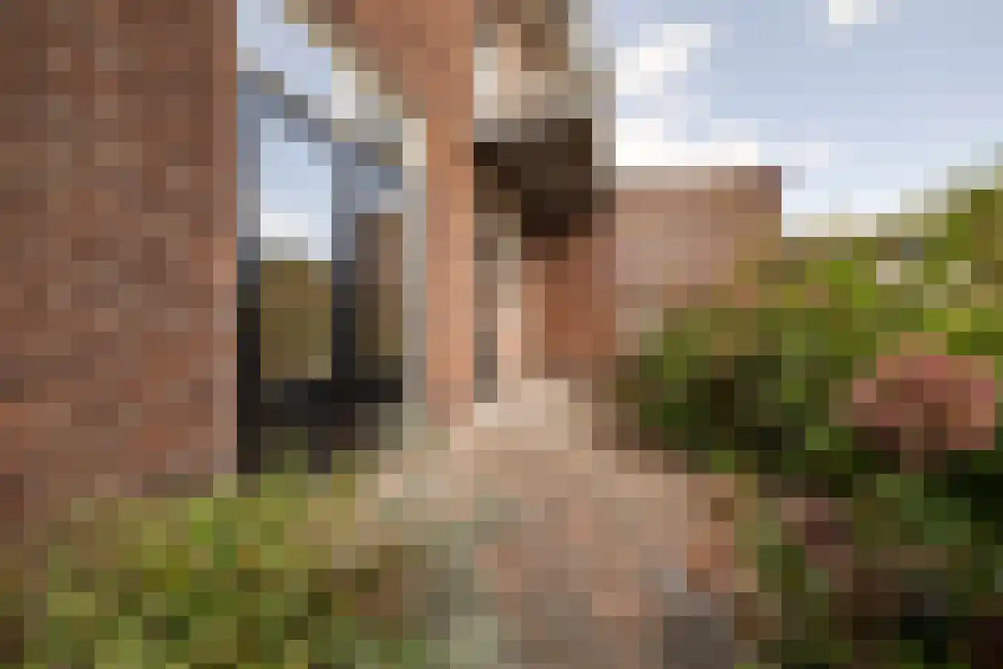 Jachtlaan 280 Apeldoorn thumbnail 27