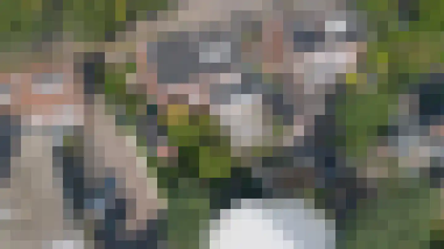 Jachtlaan 280 Apeldoorn thumbnail 38