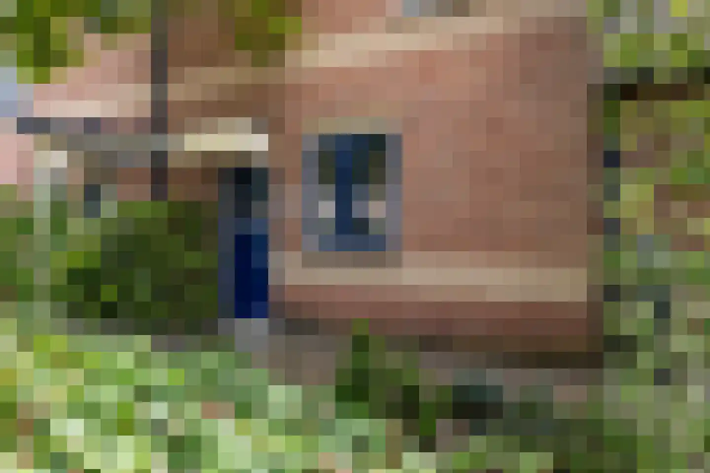 Jachtlaan 284 Apeldoorn thumbnail 37