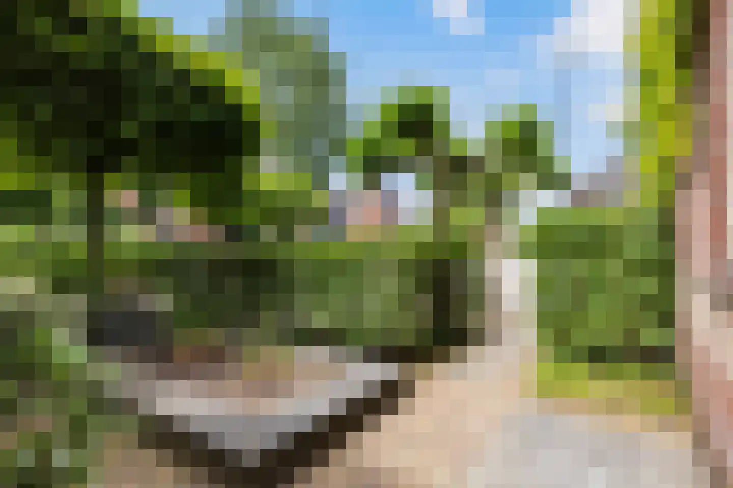 Jachtlaan 284 Apeldoorn thumbnail 38