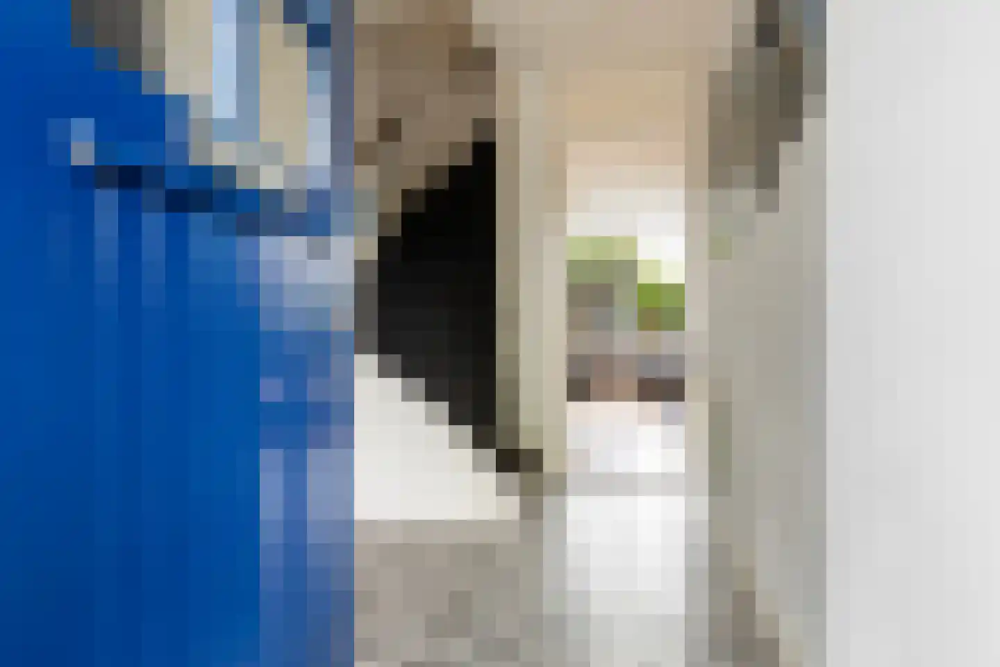 Jachtlaan 284 Apeldoorn thumbnail 6