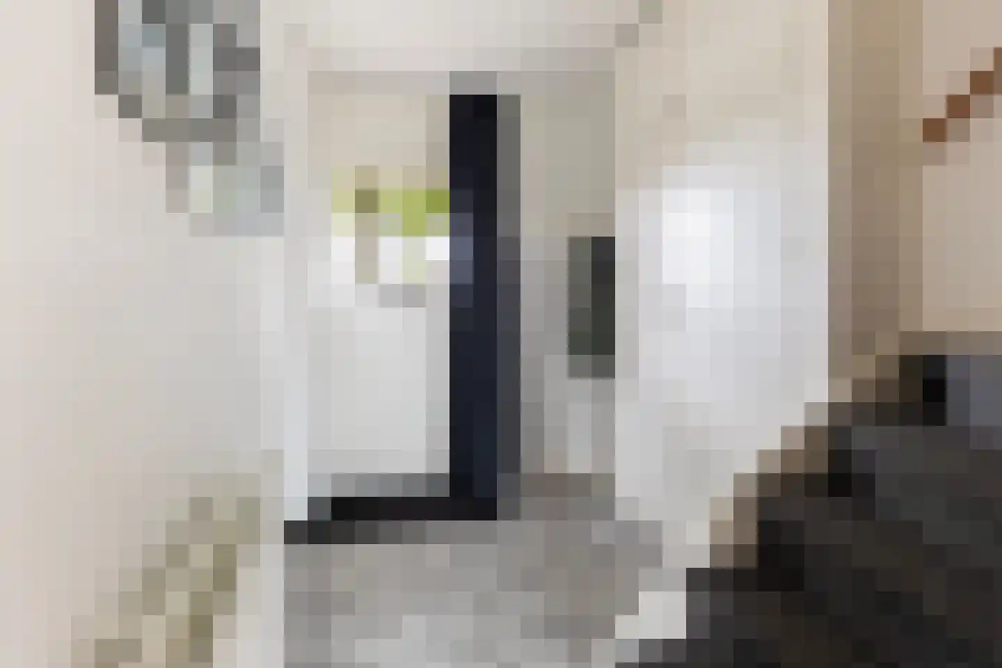 Jachtlaan 284 Apeldoorn thumbnail 7