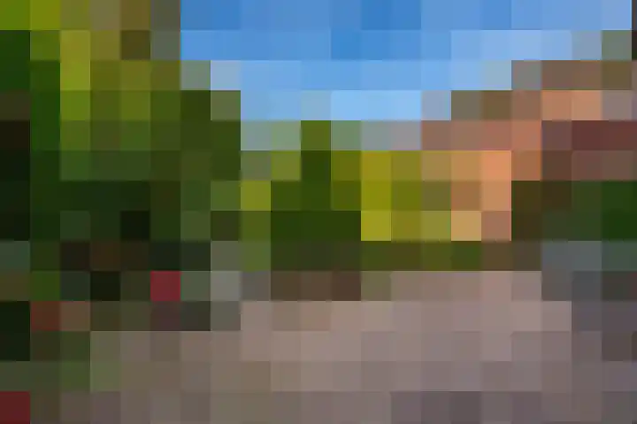 Jachtlaan 288 Apeldoorn thumbnail 20