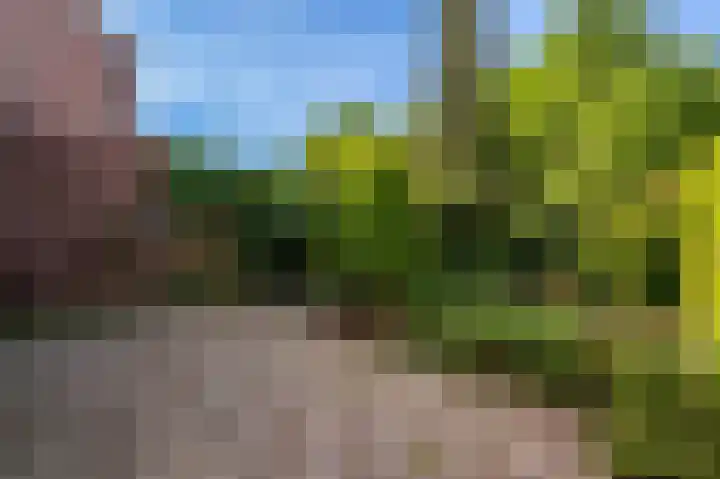 Jachtlaan 288 Apeldoorn thumbnail 21