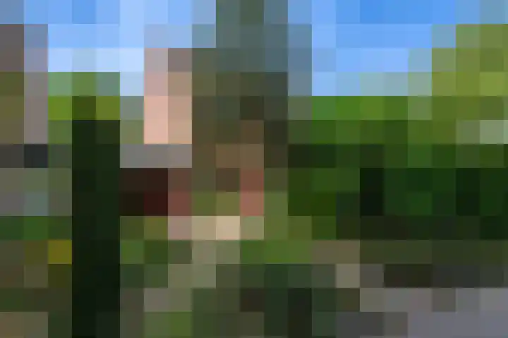 Jachtlaan 288 Apeldoorn thumbnail 29