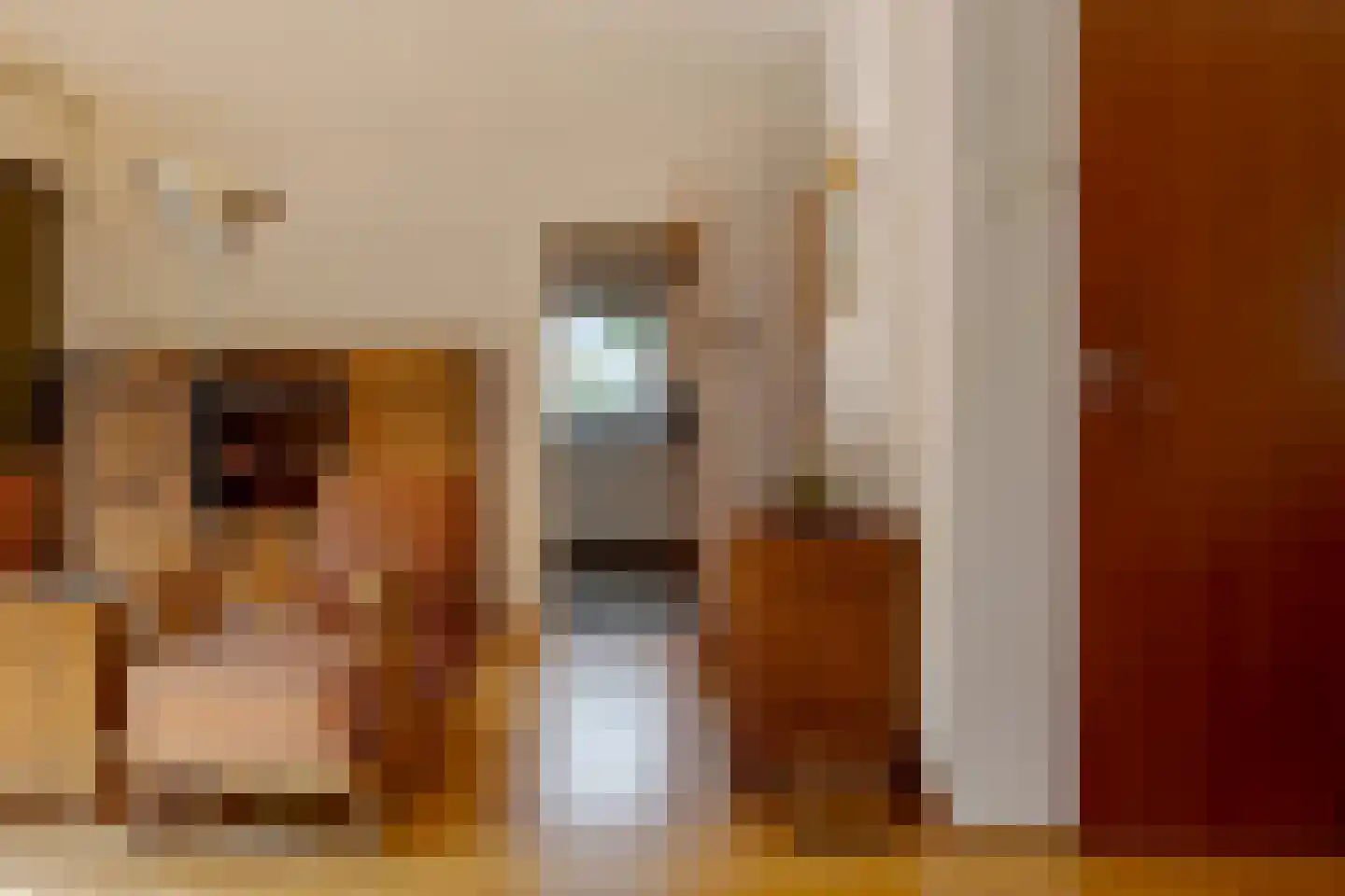 Jachtlaan 3 Roden thumbnail 25