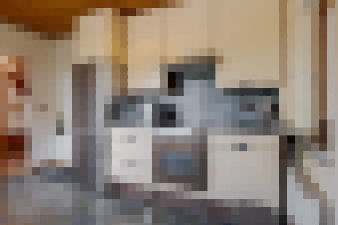 Jachtlaan 3 Roden thumbnail 29