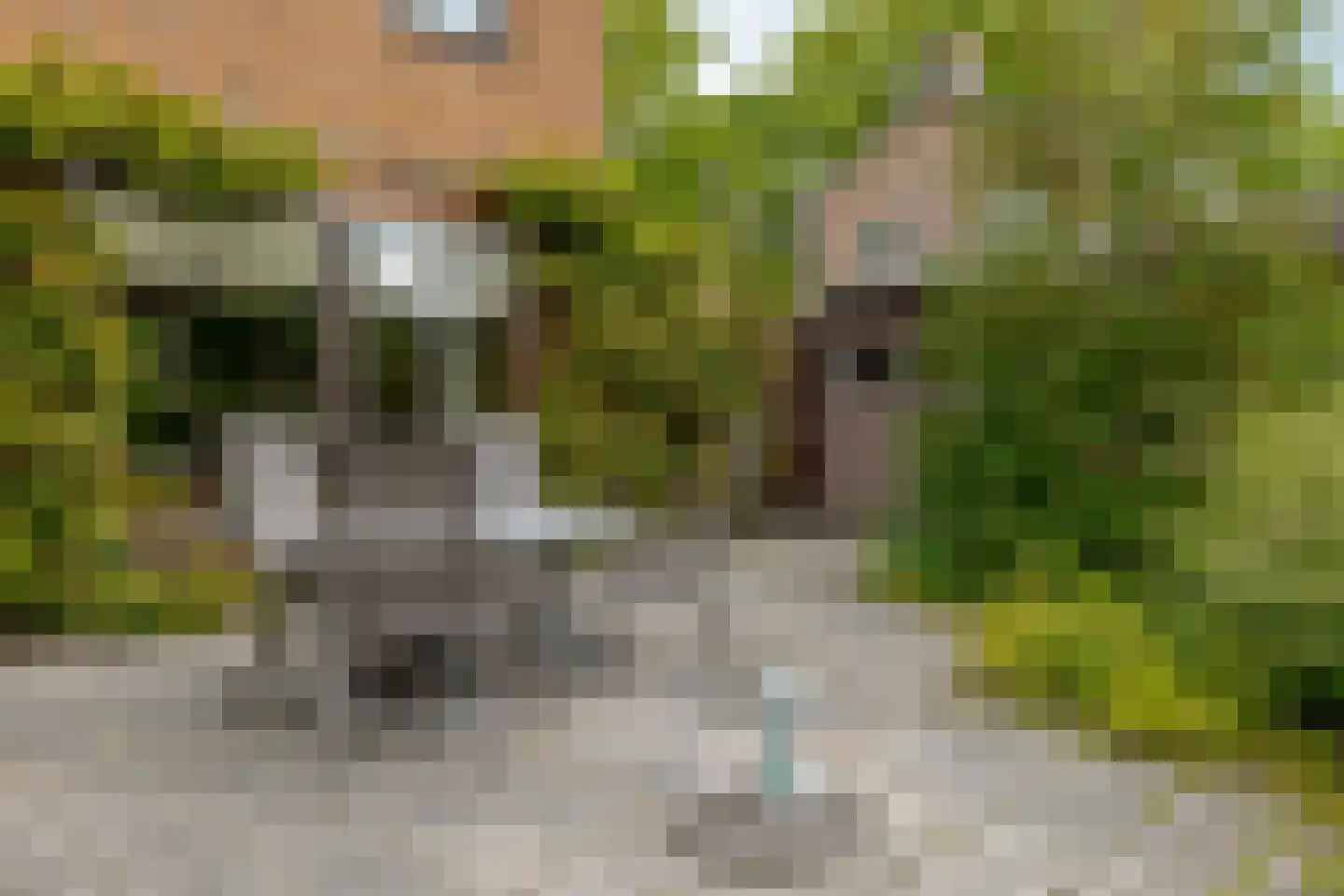 Jachtlaan 3 Roden thumbnail 34