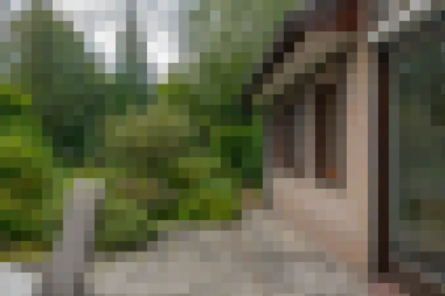 Jachtlaan 3 Roden thumbnail 37