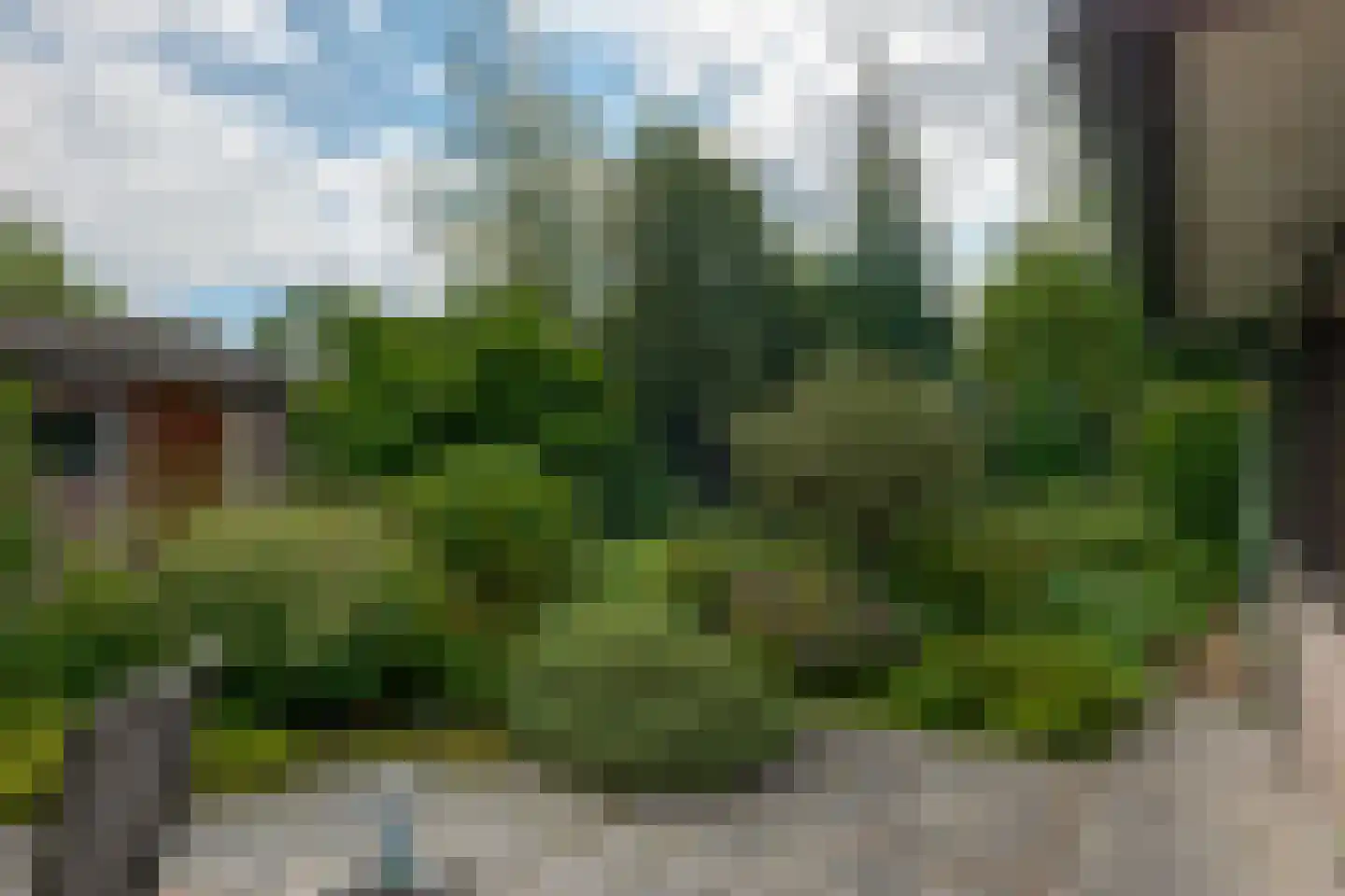 Jachtlaan 3 Roden thumbnail 38