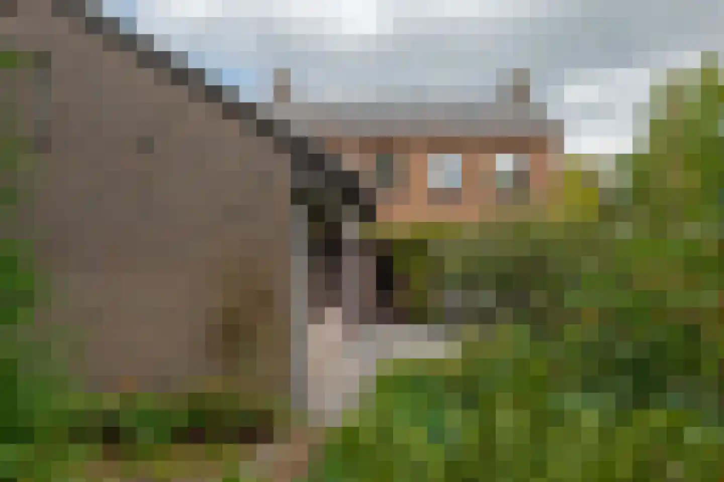 Jachtlaan 3 Roden thumbnail 39
