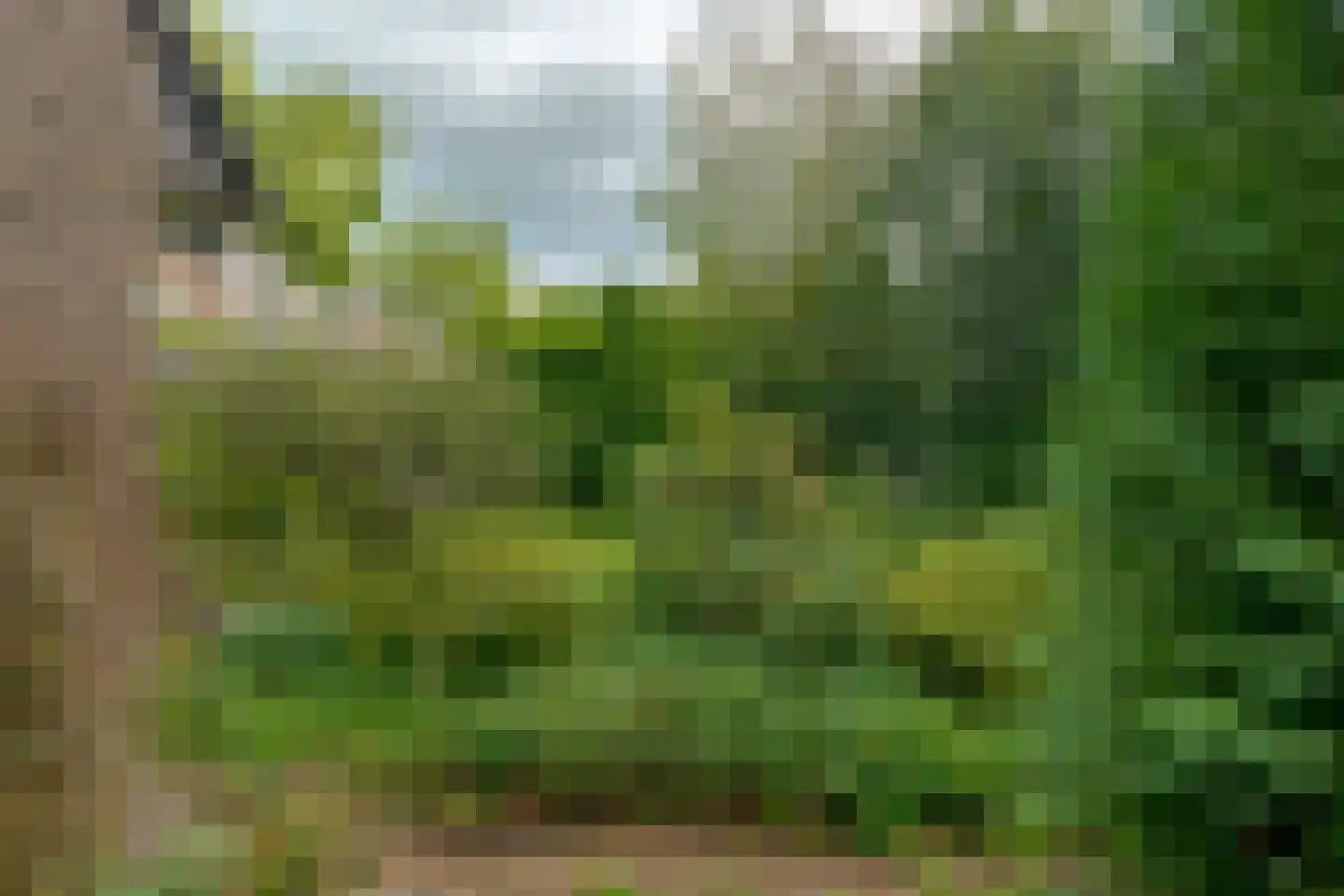Jachtlaan 3 Roden thumbnail 40
