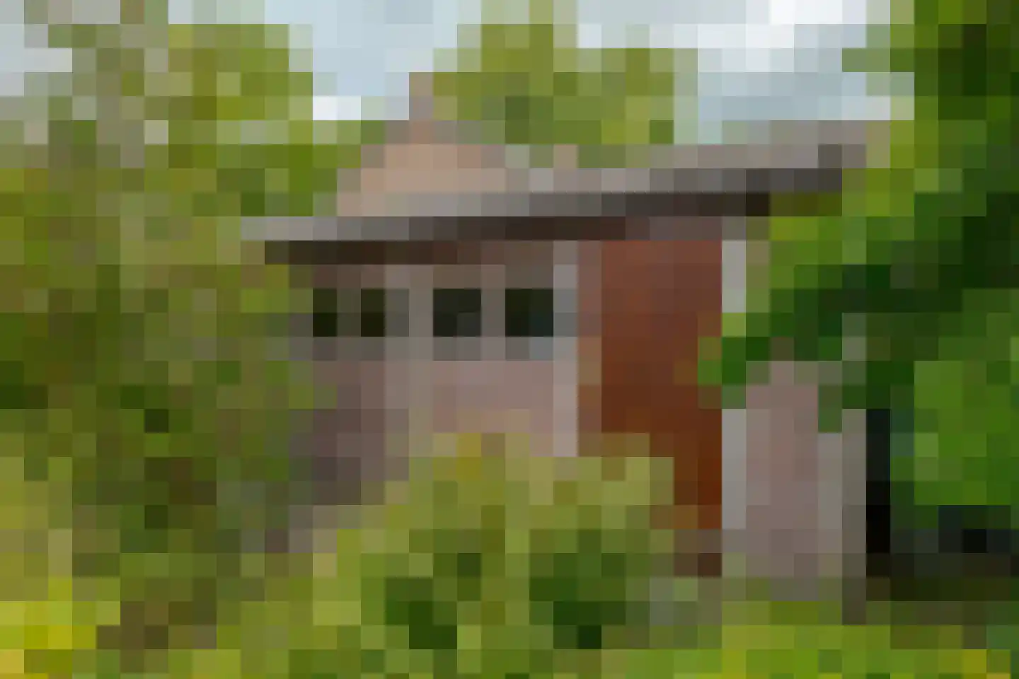 Jachtlaan 3 Roden thumbnail 41
