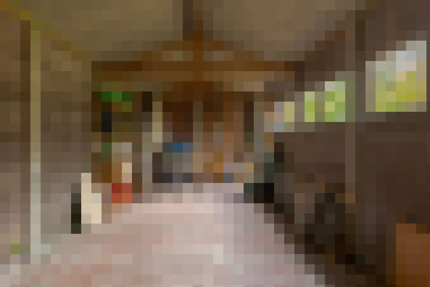 Jachtlaan 3 Roden thumbnail 43