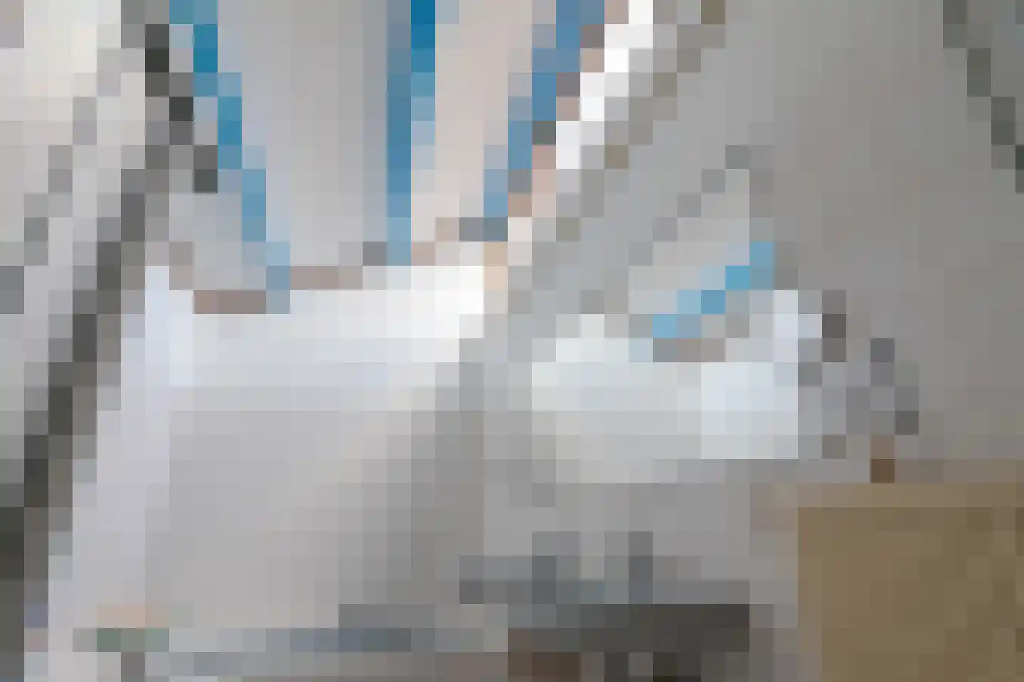 Jachtlaan 3 Roden thumbnail 49