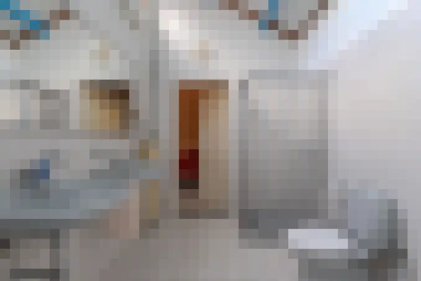 Jachtlaan 3 Roden thumbnail 50