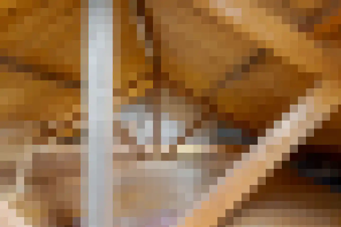 Jachtlaan 3 Roden thumbnail 68