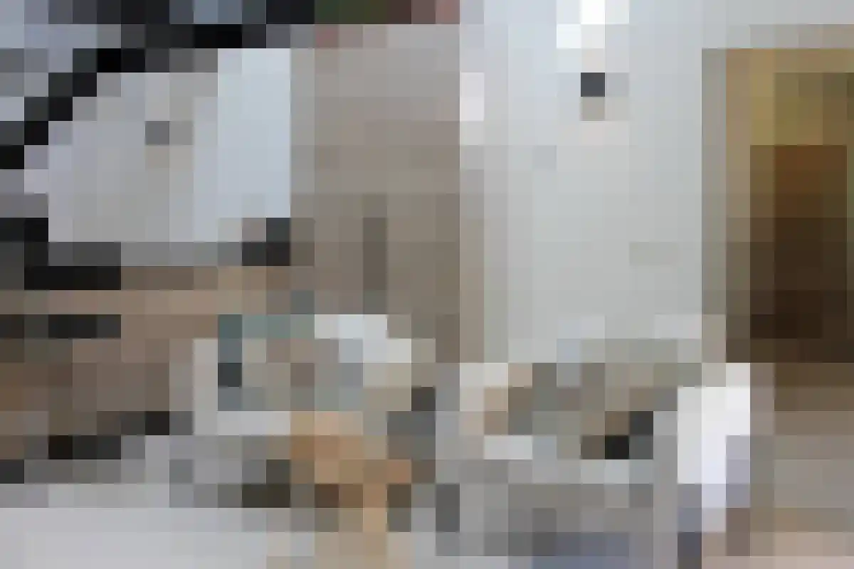 Jachtlaan 3 Ulvenhout thumbnail 4