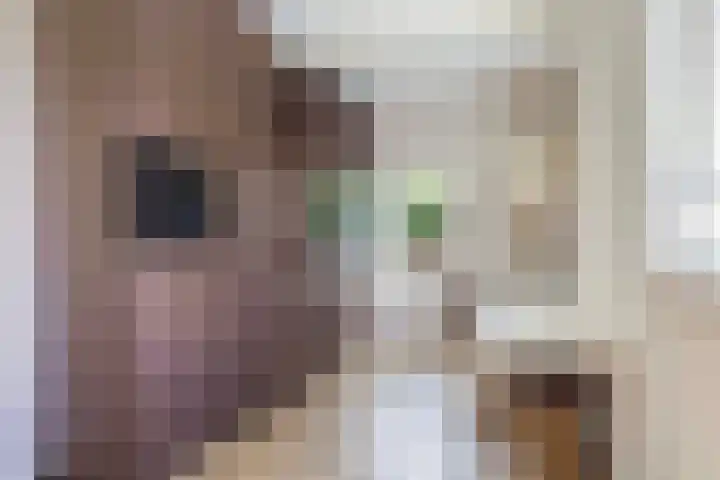 Jachtlaan 31 Apeldoorn thumbnail 10