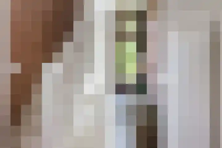 Jachtlaan 31 Apeldoorn thumbnail 13