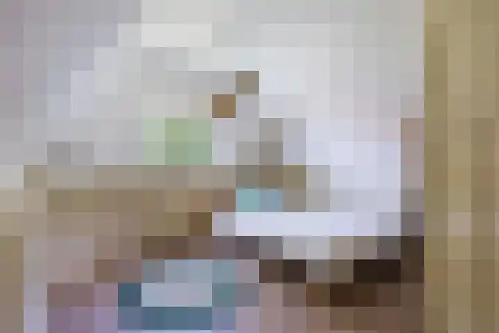 Jachtlaan 31 Apeldoorn thumbnail 22