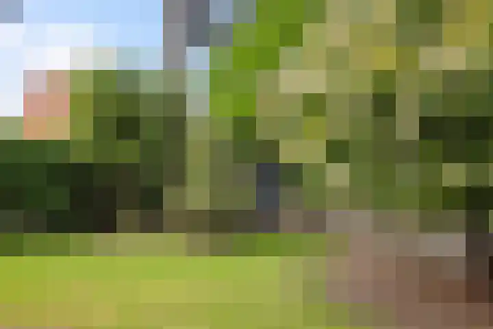 Jachtlaan 31 Apeldoorn thumbnail 26
