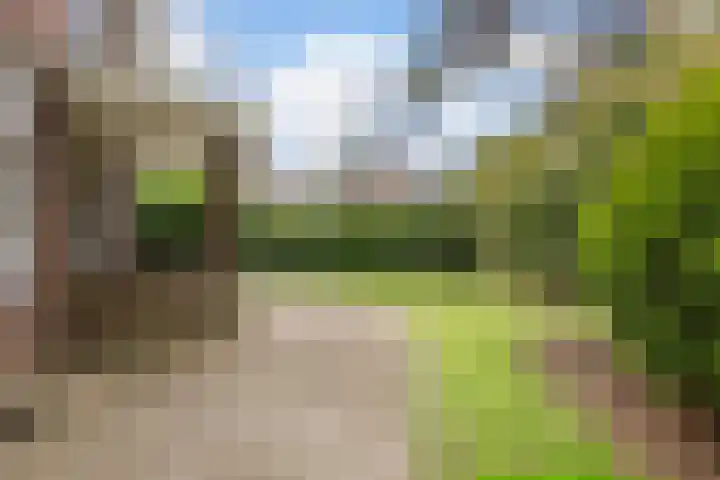 Jachtlaan 31 Apeldoorn thumbnail 27