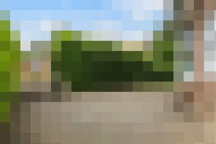 Jachtlaan 31 Apeldoorn thumbnail 28