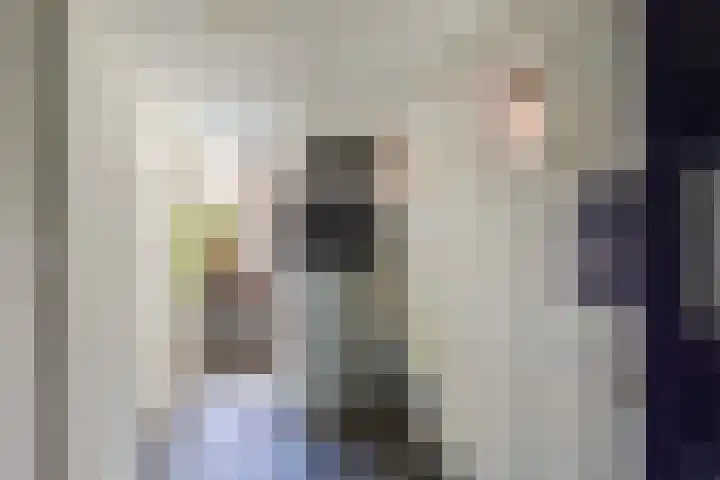 Jachtlaan 31 Apeldoorn thumbnail 31