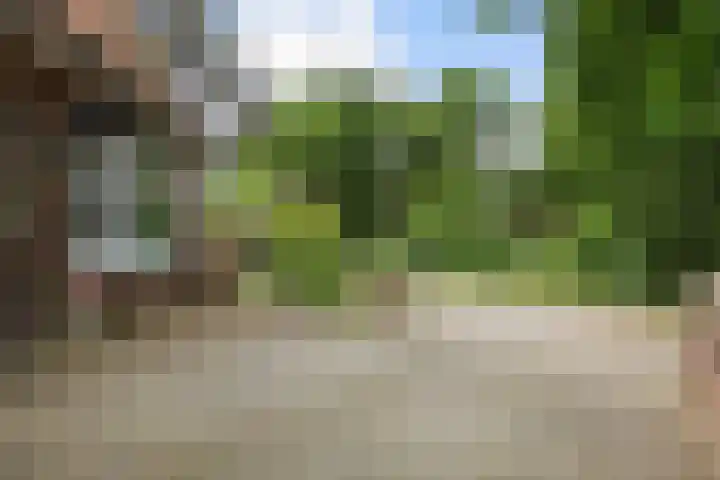 Jachtlaan 31 Apeldoorn thumbnail 35