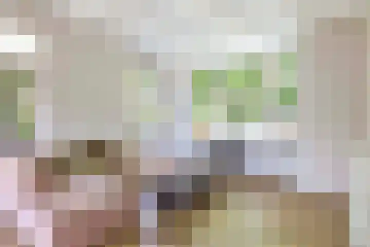 Jachtlaan 31 Apeldoorn thumbnail 4