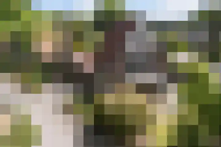 Jachtlaan 31 Apeldoorn thumbnail 45