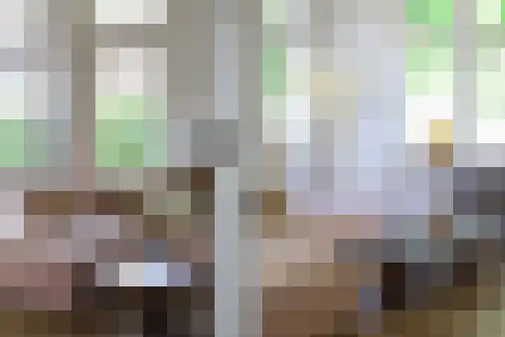 Jachtlaan 31 Apeldoorn thumbnail 5