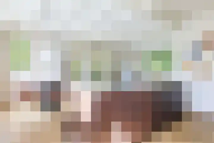 Jachtlaan 31 Apeldoorn thumbnail 8