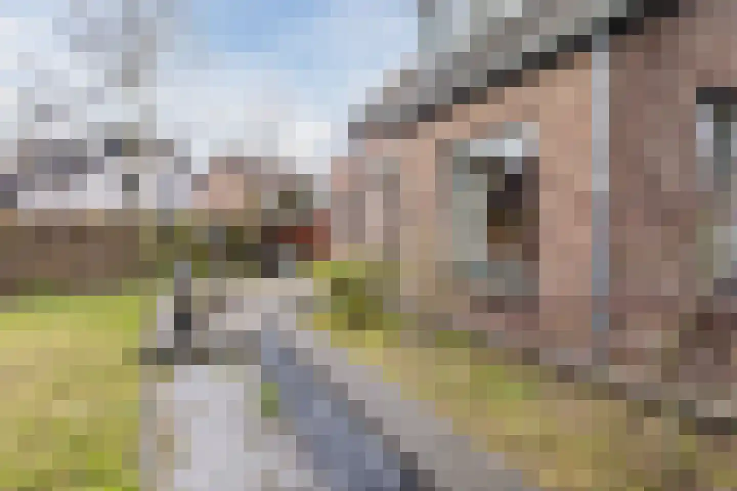 Jachtlaan 334 Apeldoorn thumbnail 45