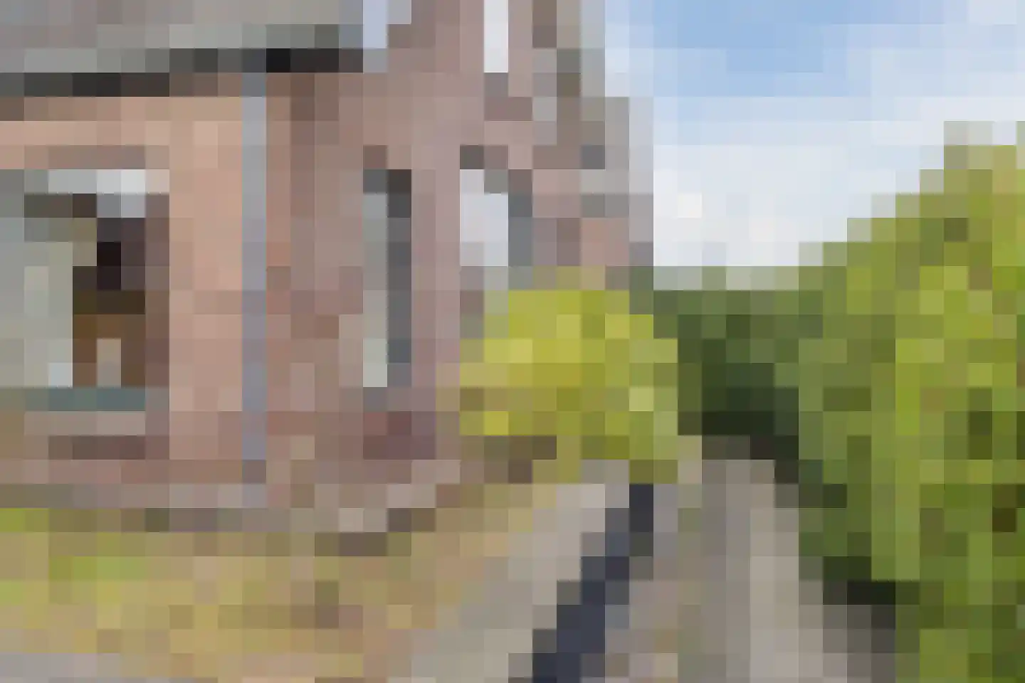 Jachtlaan 334 Apeldoorn thumbnail 46
