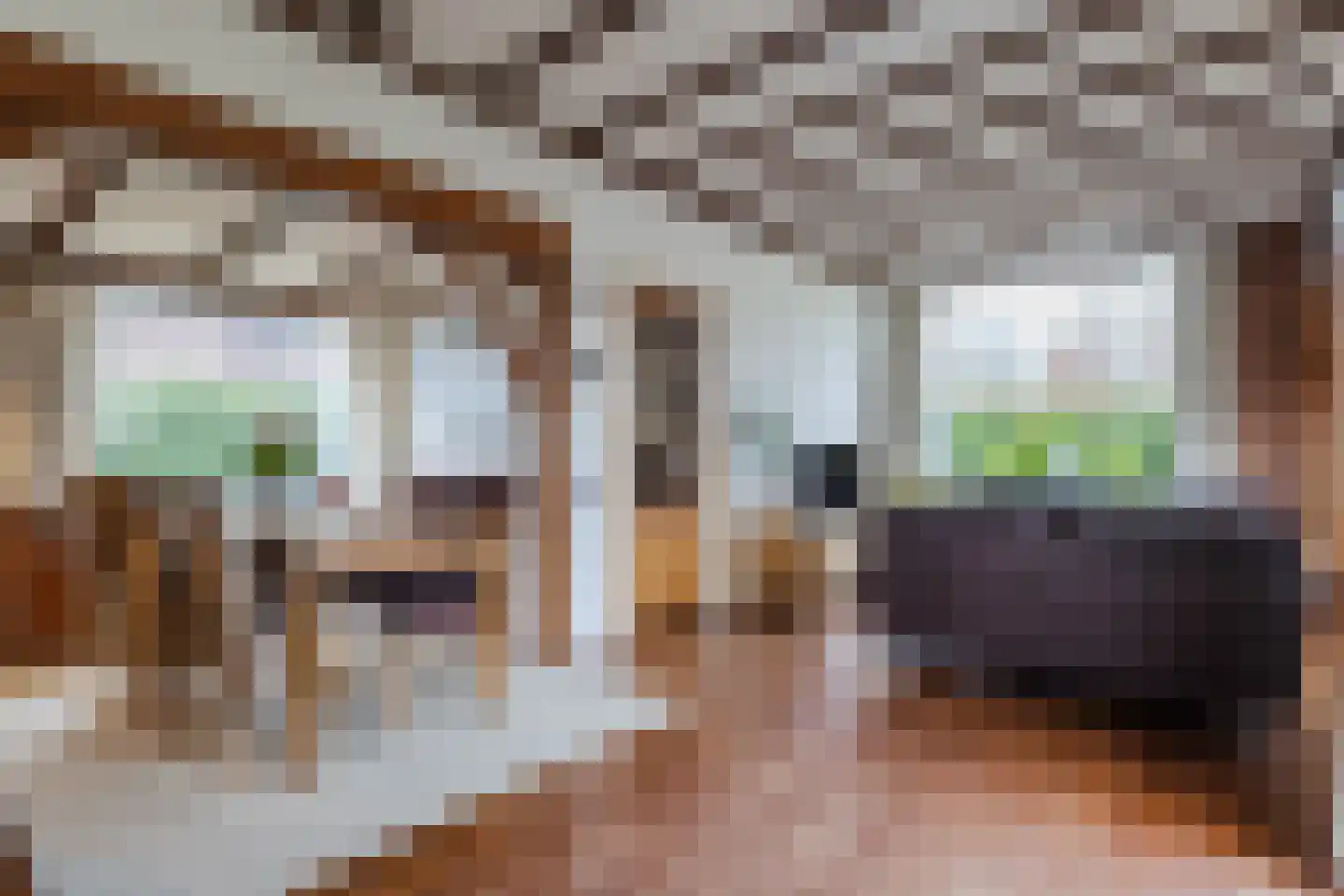 Jachtlaan 334 Apeldoorn thumbnail 8