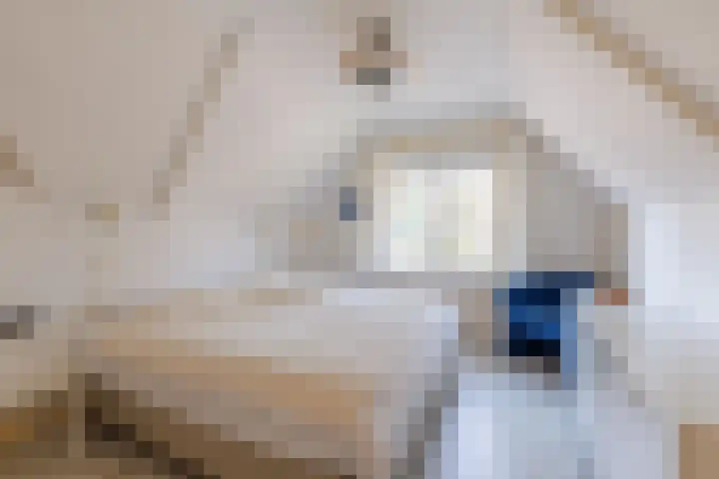 Jachtlaan 35 Apeldoorn thumbnail 29