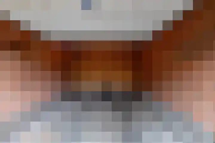 Jachtlaan 4 b Haren Gn thumbnail 40