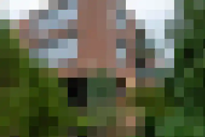 Jachtlaan 4 b Haren Gn thumbnail 42