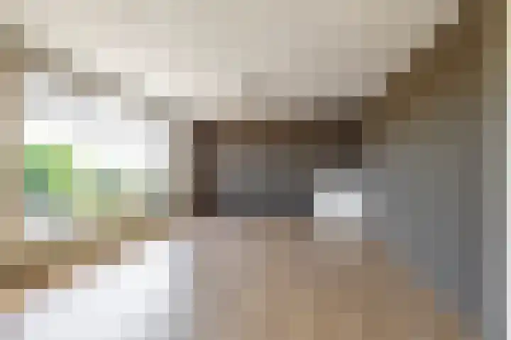 Jachtlaan 4 C Delfzijl thumbnail 12