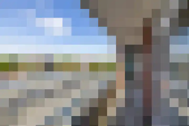 Jachtlaan 4 C Delfzijl thumbnail 17