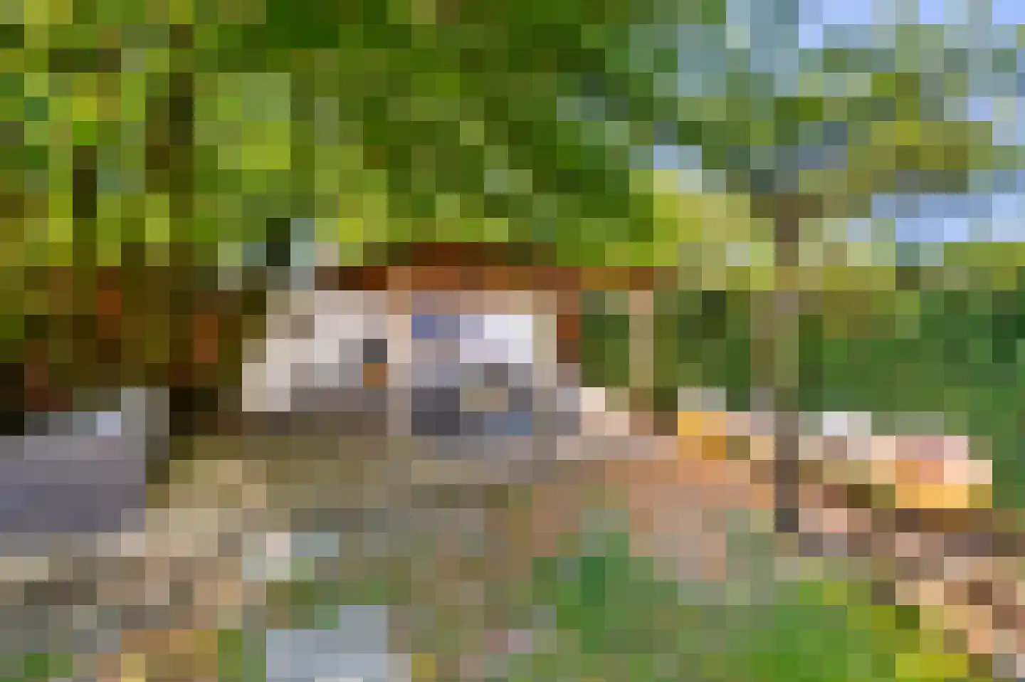 Jachtlaan 49 Apeldoorn thumbnail 29