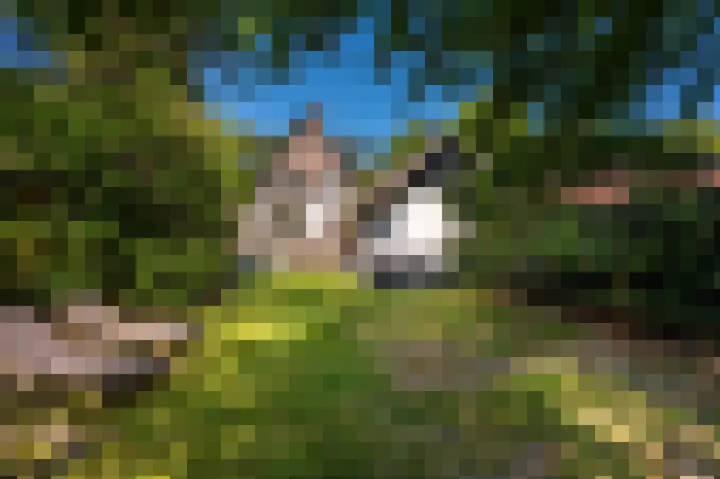 Jachtlaan 49 Apeldoorn thumbnail 32