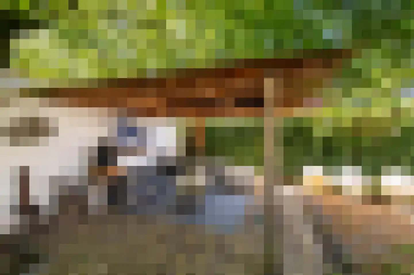 Jachtlaan 49 Apeldoorn thumbnail 34