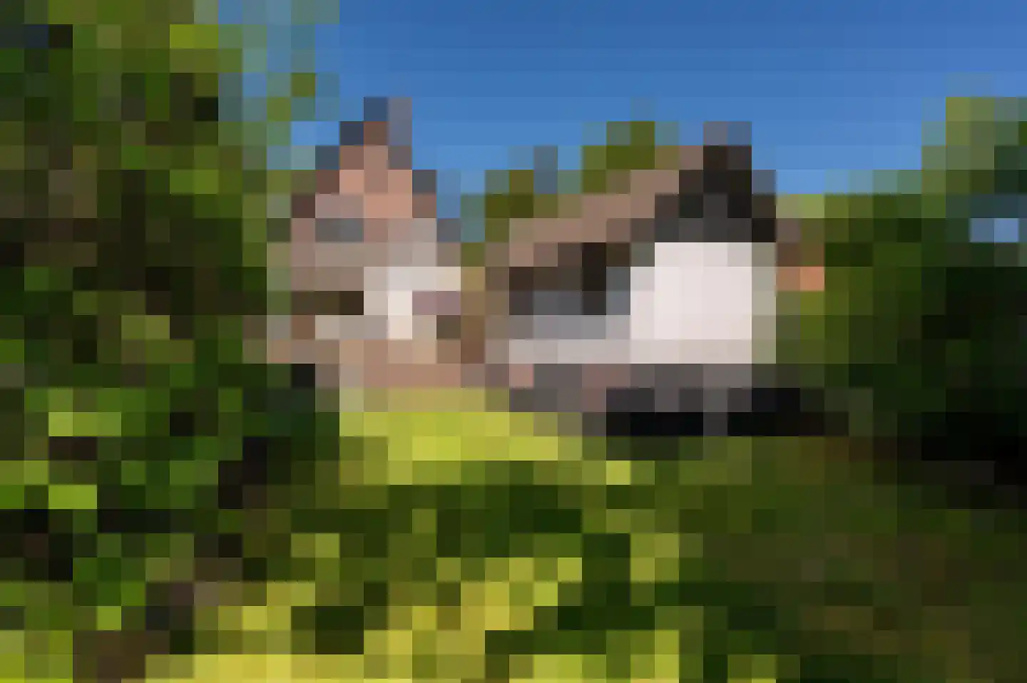 Jachtlaan 49 Apeldoorn thumbnail 35
