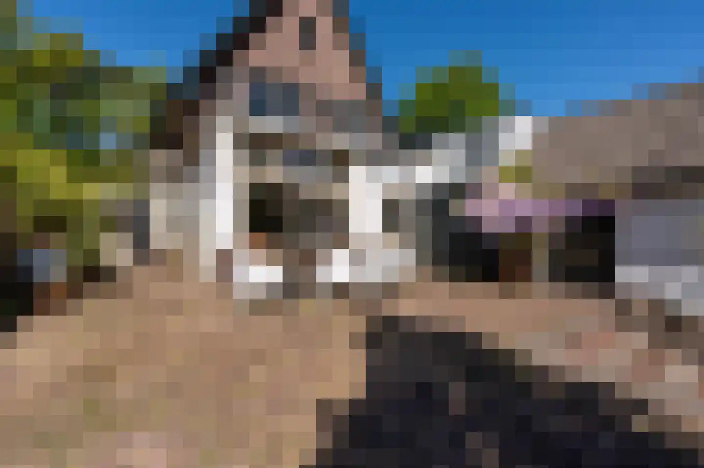 Jachtlaan 49 Apeldoorn thumbnail 36
