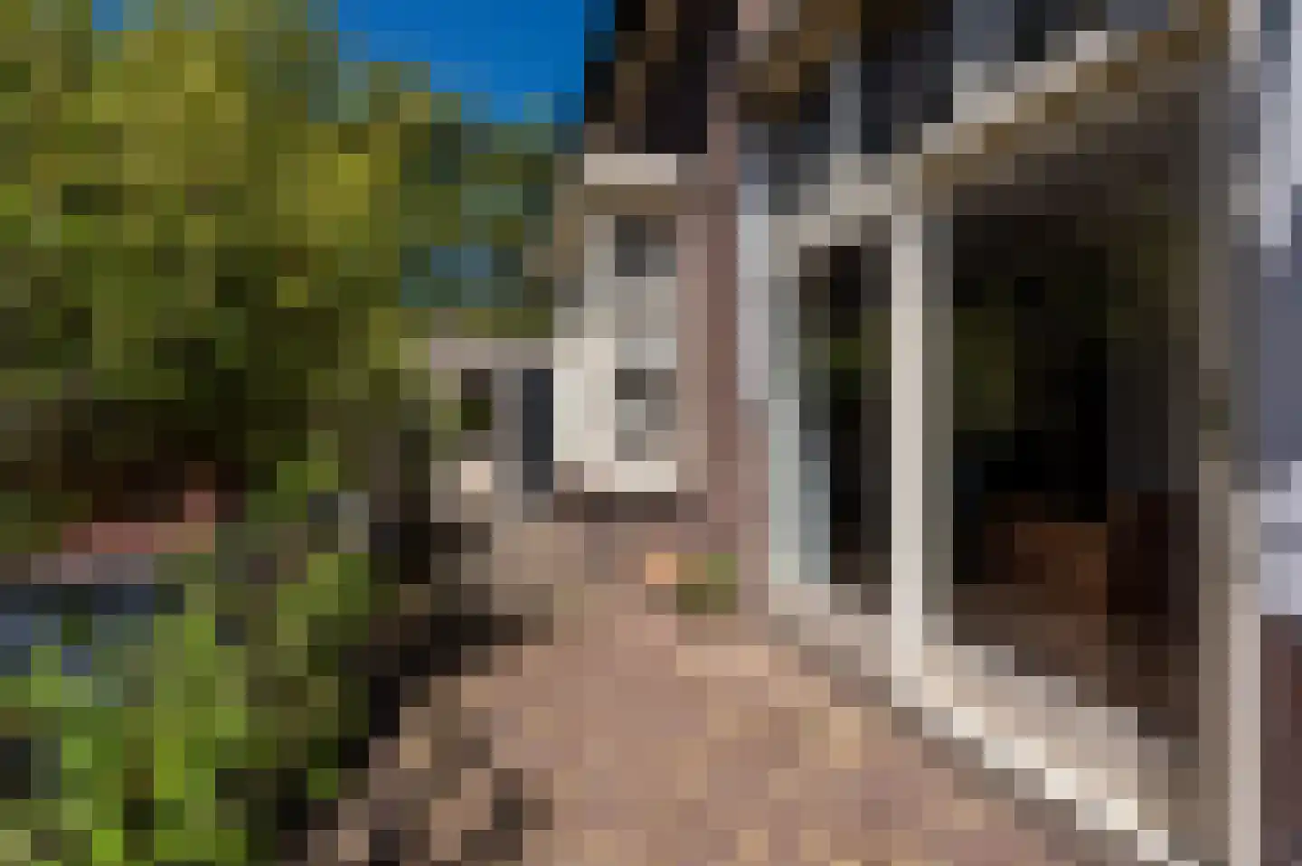 Jachtlaan 49 Apeldoorn thumbnail 37