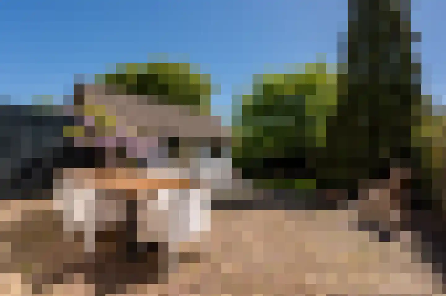Jachtlaan 49 Apeldoorn thumbnail 38