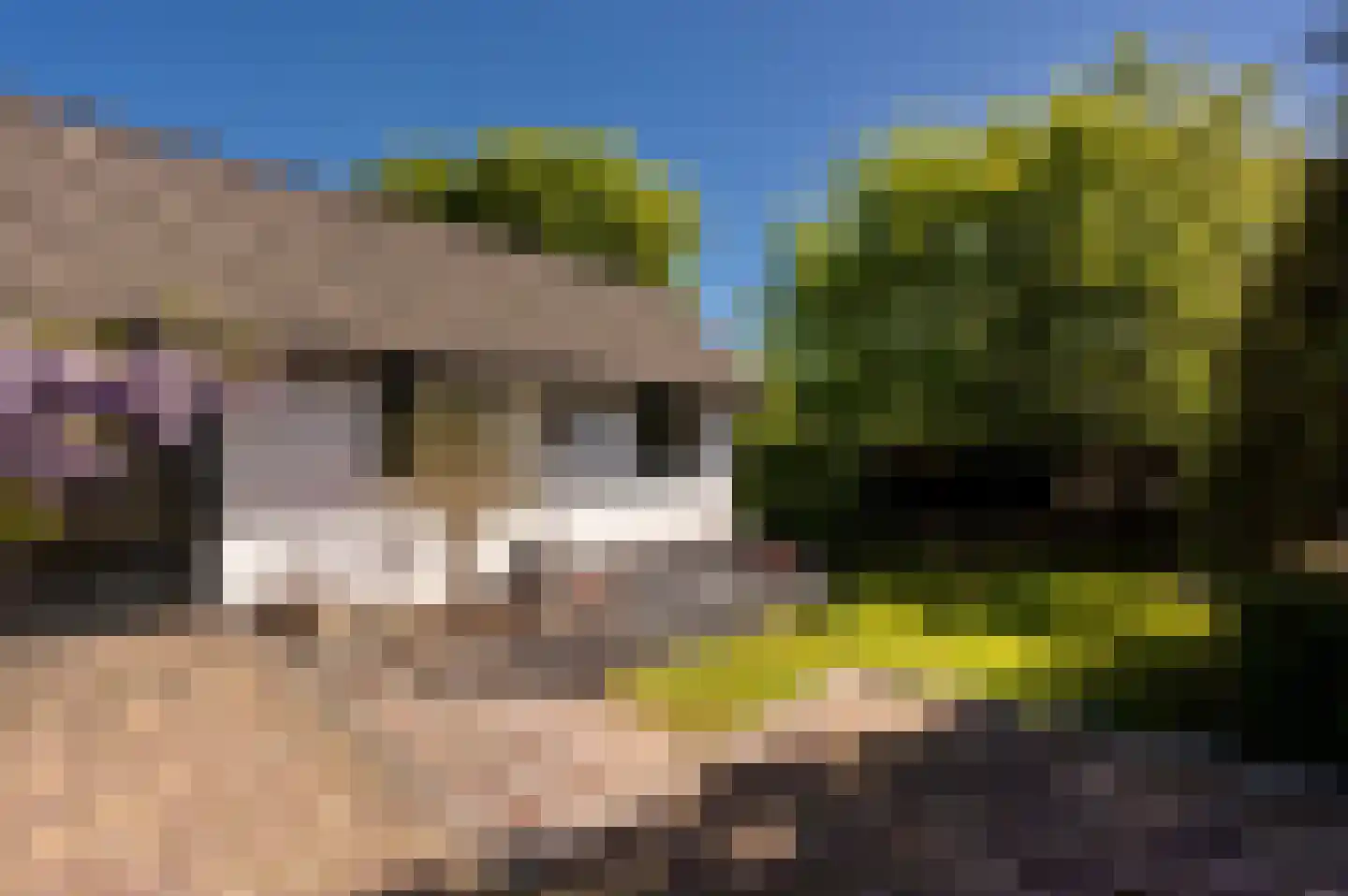 Jachtlaan 49 Apeldoorn thumbnail 39